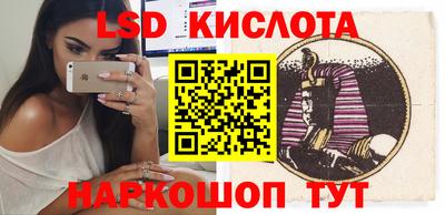 прущие грибы Норильск