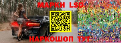 прущие грибы Норильск