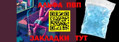 прущие грибы Норильск
