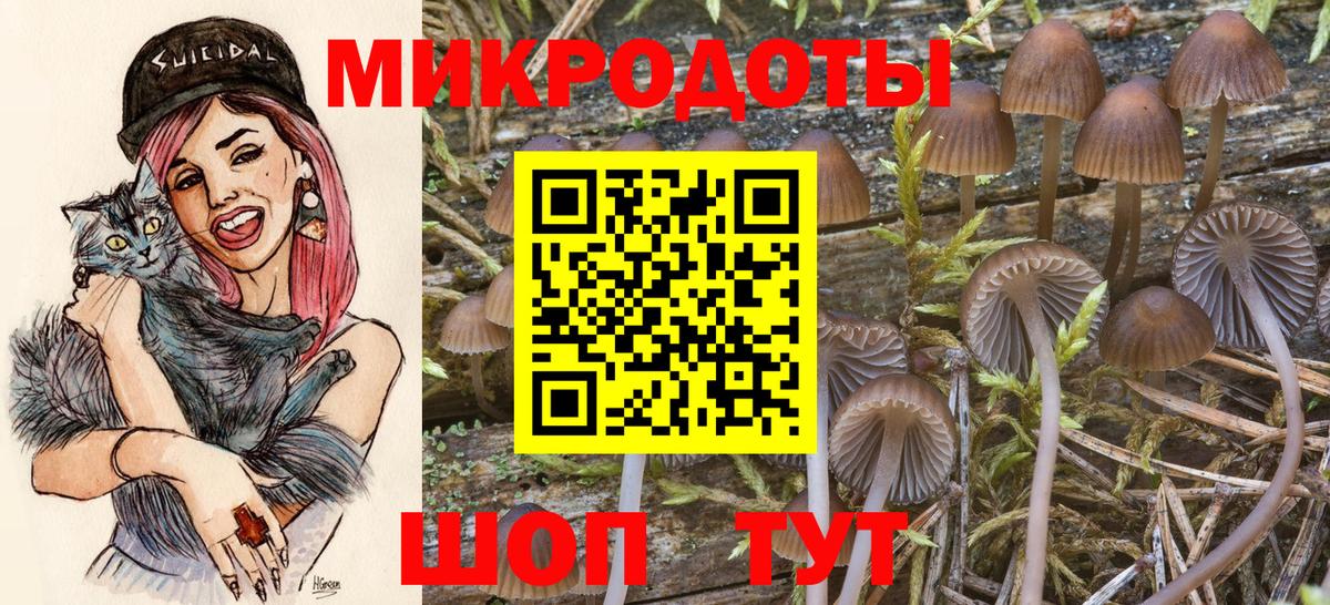 Псилоцибиновые грибы GOLDEN TEACHER Ефремов
